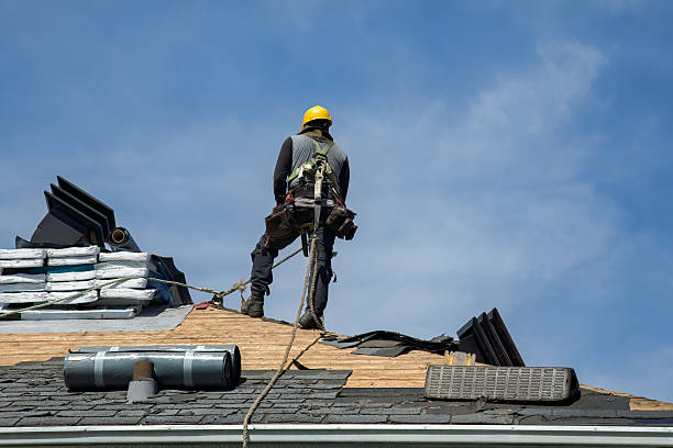 Professional Roofing technician working in Westville, IL